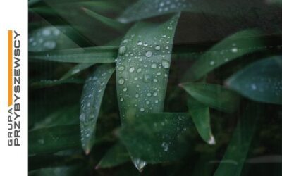 Oszczędzaj pieniądze – magazynuj wodę deszczową do podlewania ogrodu w zbiorniku