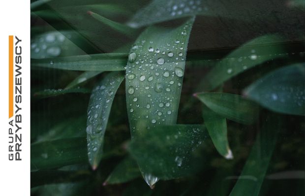Oszczędzaj pieniądze – magazynuj wodę deszczową do podlewania ogrodu w zbiorniku